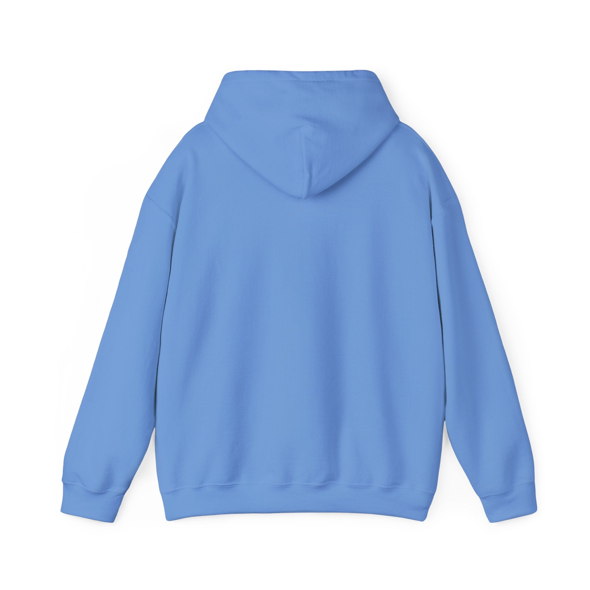 Divine Afro Unicorn Hoodie