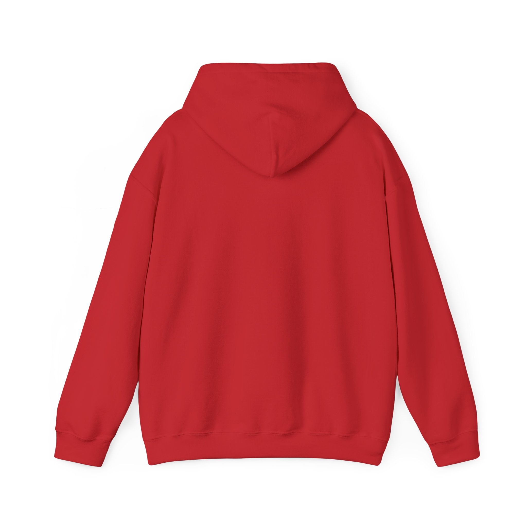 Divine Afro Unicorn Hoodie