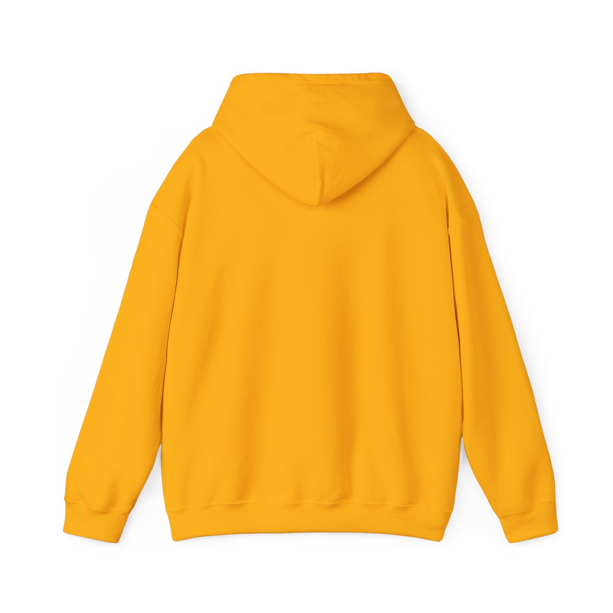 Divine Afro Unicorn Hoodie