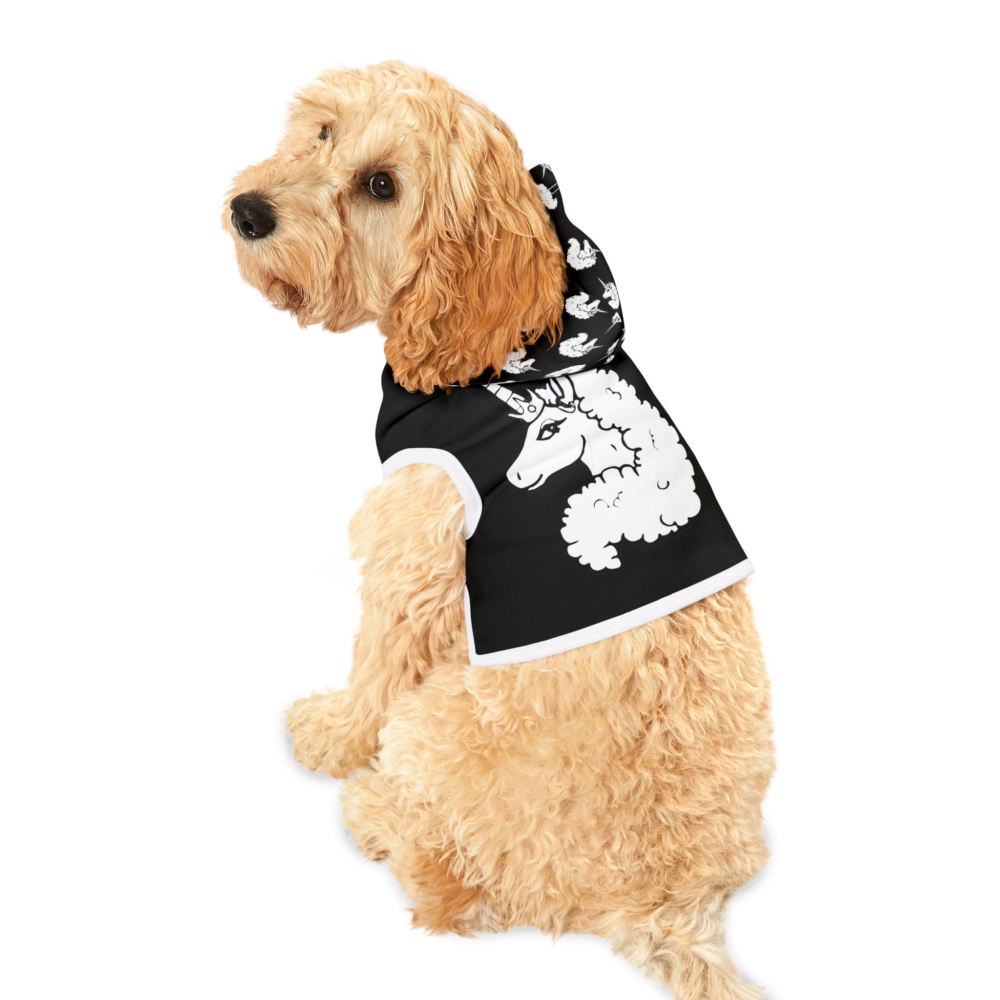 Afro Unicorn Pet Hoodie