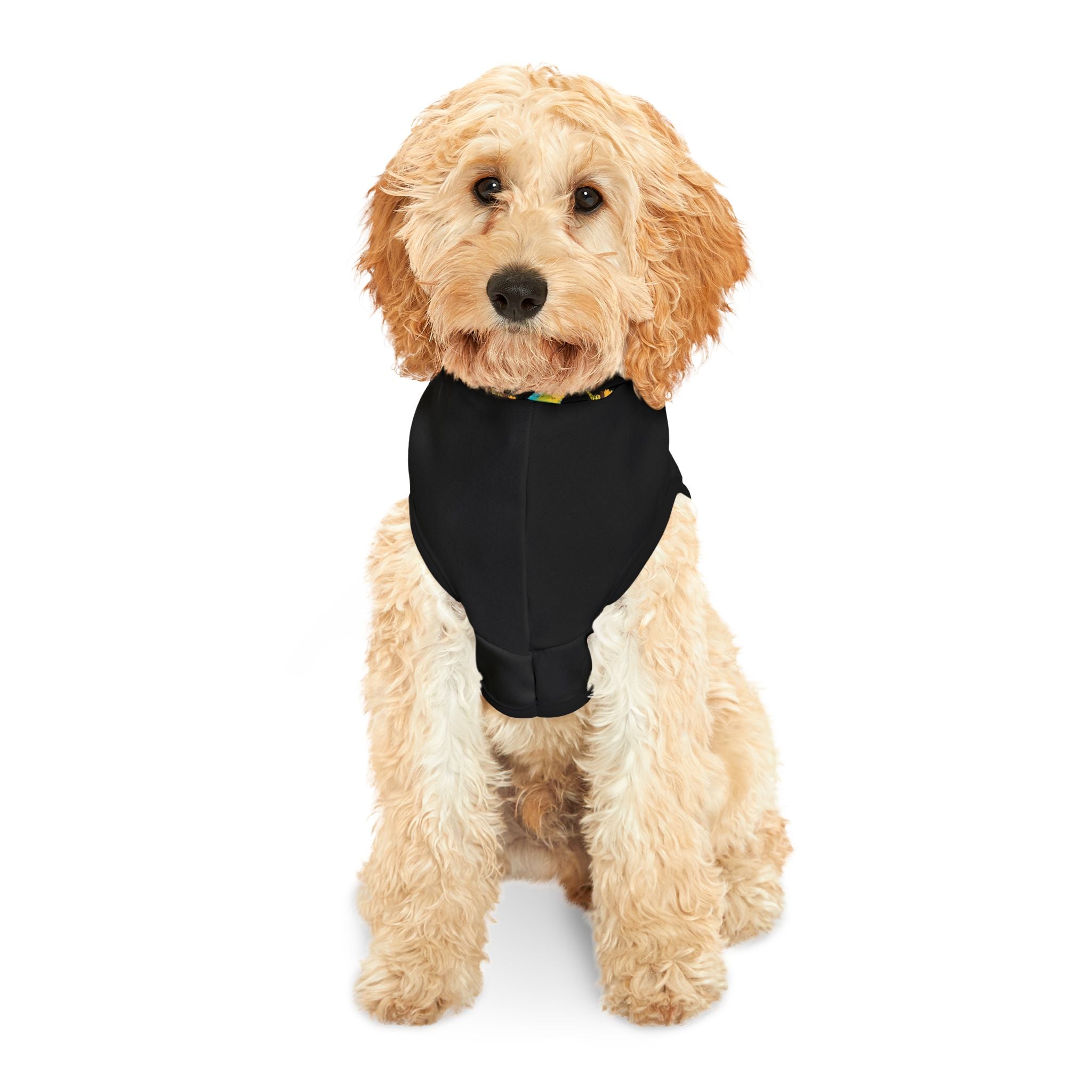 Afro Unicorn Pet Hoodie